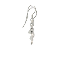 Load image into Gallery viewer, BLUE WHALE TAIL OPAL STERLING SILVER EARRINGS