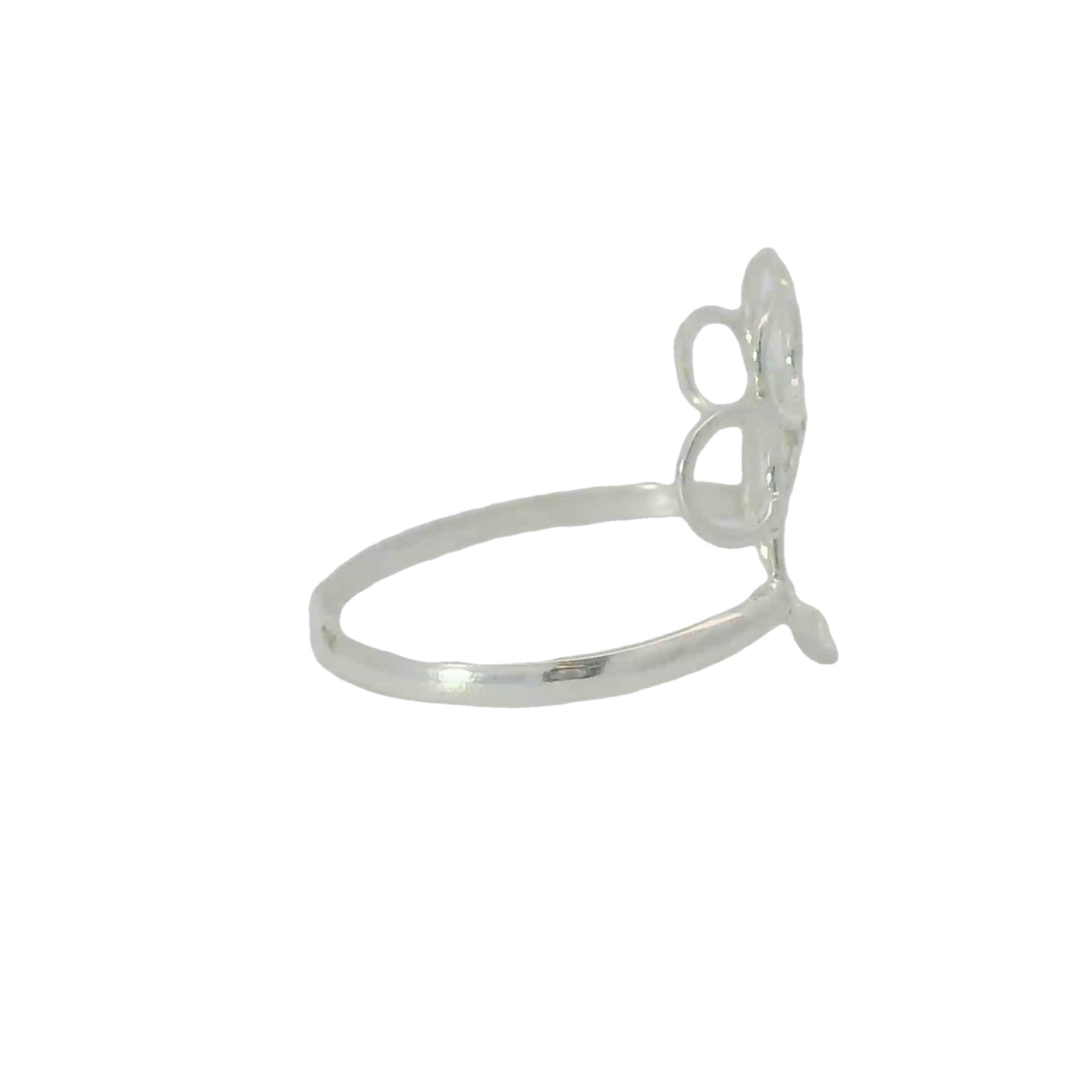 Sterling Silver ring (Paw)