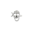 Silver skull ring on a white background