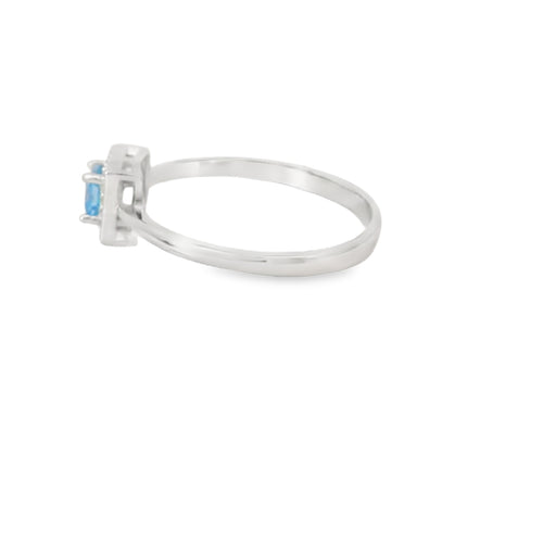 Aquamarine Cubic Zirconia Sterling Silver Ring (Princess)