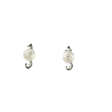 Load image into Gallery viewer, TINY SEAHORSE STERLING SILVER EARRINGS