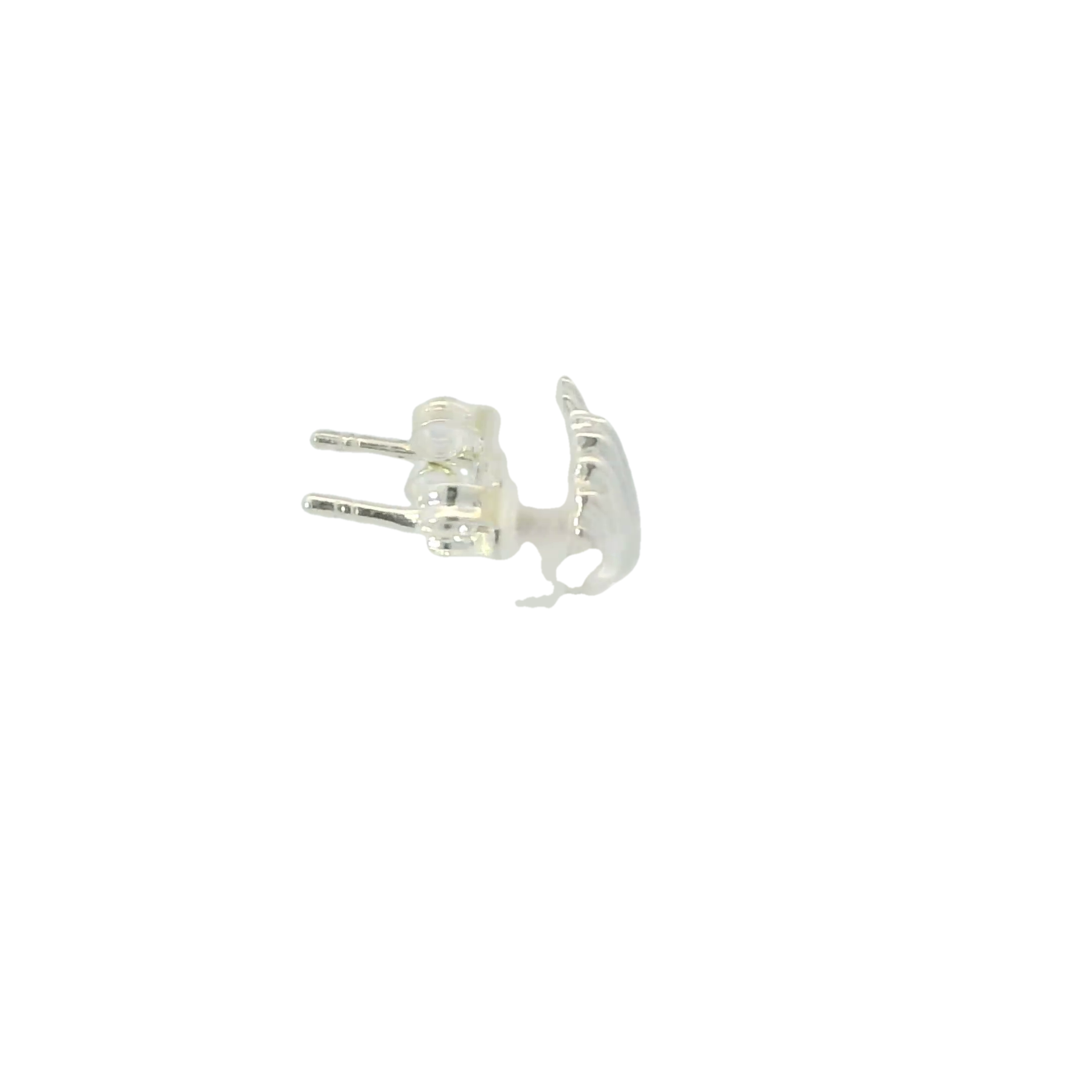 SEASHELL STERLING SILVER EARRINGS