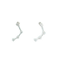 Aquarius zodiac earrings