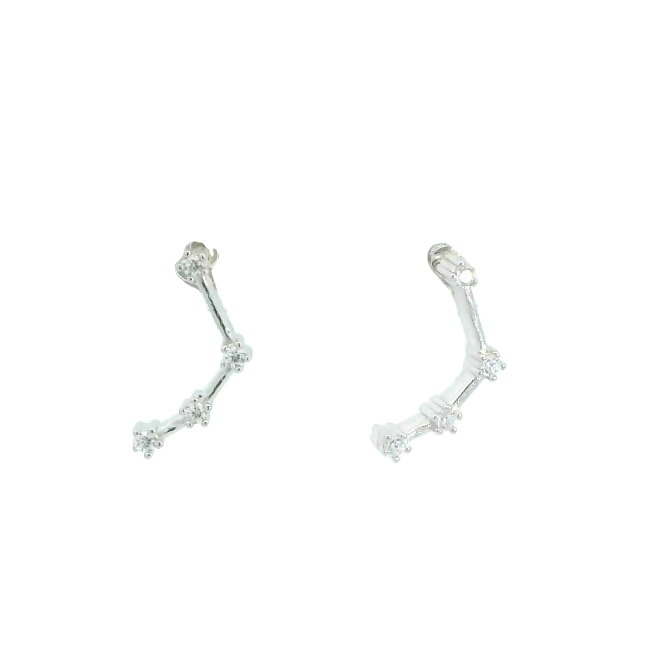 Aquarius zodiac earrings