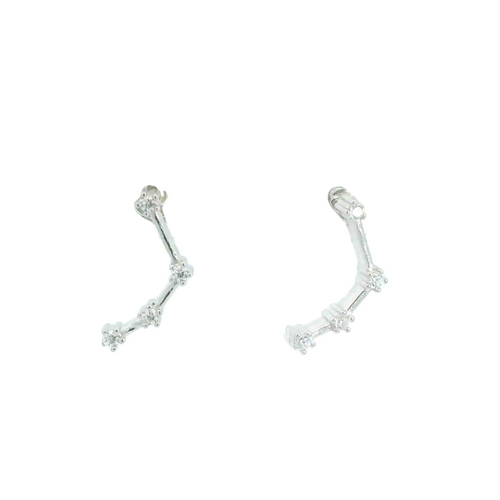 Aquarius zodiac earrings