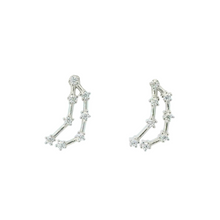 Load image into Gallery viewer, CAPRICORN ZODIAC CONSTELLATION EARRINGS