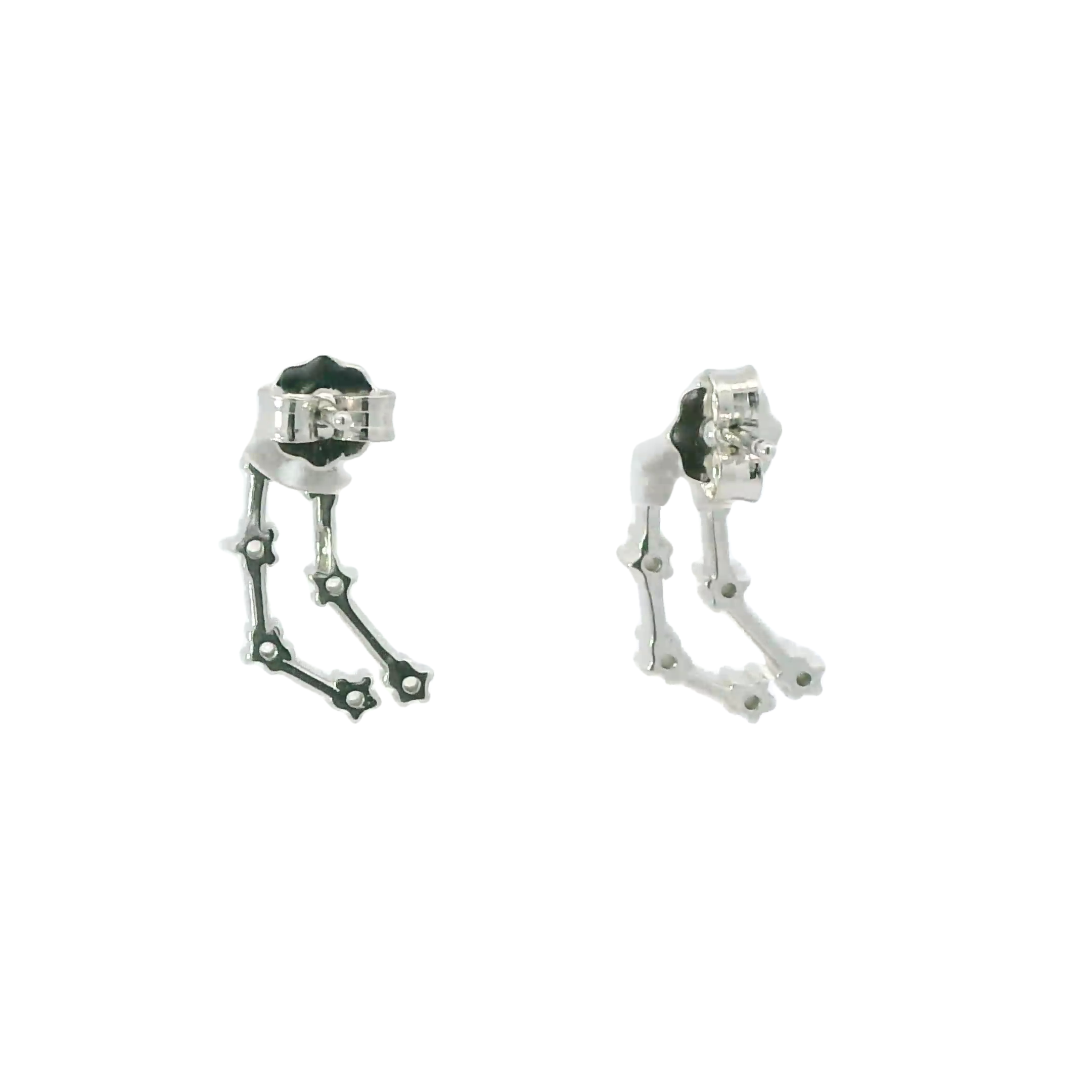 CAPRICORN ZODIAC CONSTELLATION EARRINGS