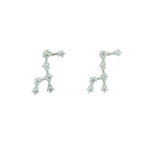 Load image into Gallery viewer, VIRGO ZODIAC CONSTELLATION EARRINGS