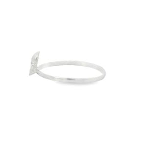 Sterling silver ring (Skull)