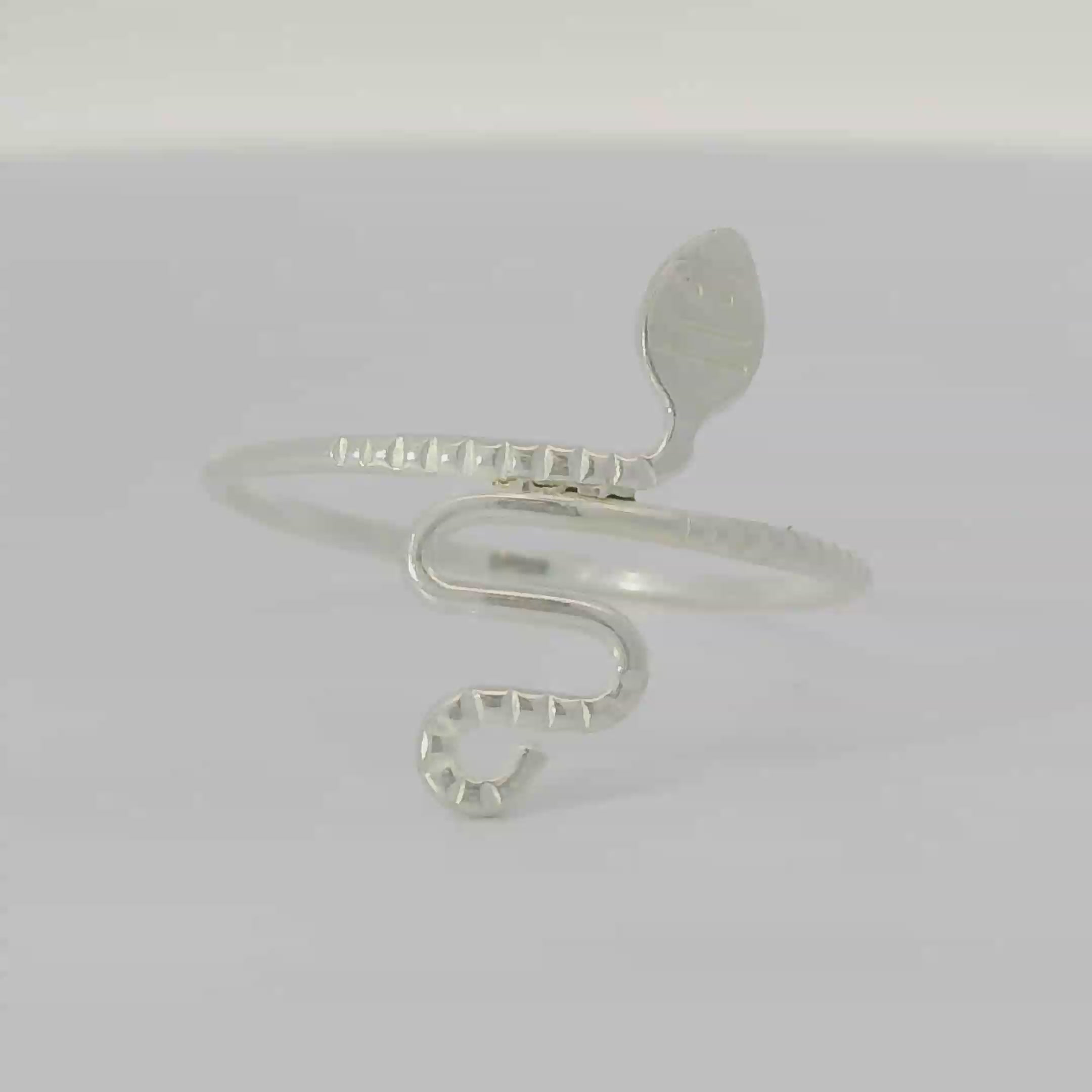 Sterling Silver ring (Snake)
