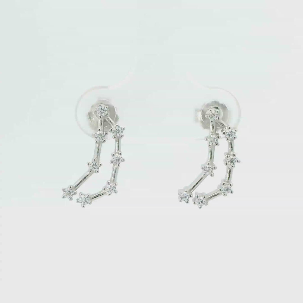CAPRICORN ZODIAC CONSTELLATION EARRINGS