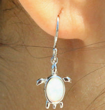 Load image into Gallery viewer, BLUE AND WHITE TURTLE OPAL STERLING SILVER EARRINGS